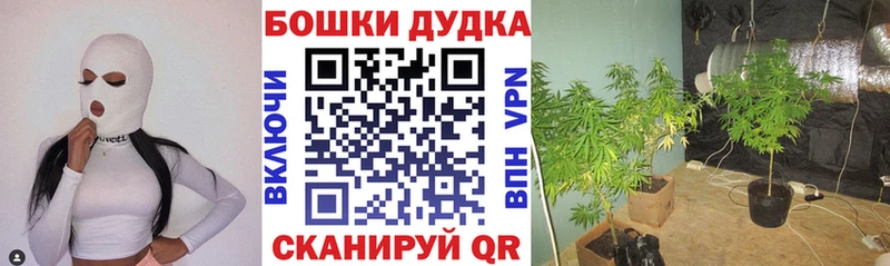 Купить наркоту Карачаевск АМФ Cocaine A-PVP Мефедрон Марихуана