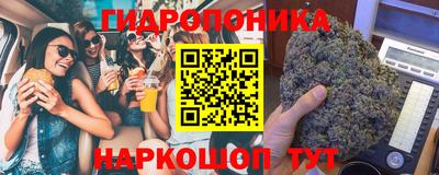эйфоретик Гатчина