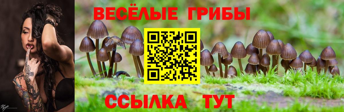 Галлюциногенные грибы GOLDEN TEACHER Карачаевск