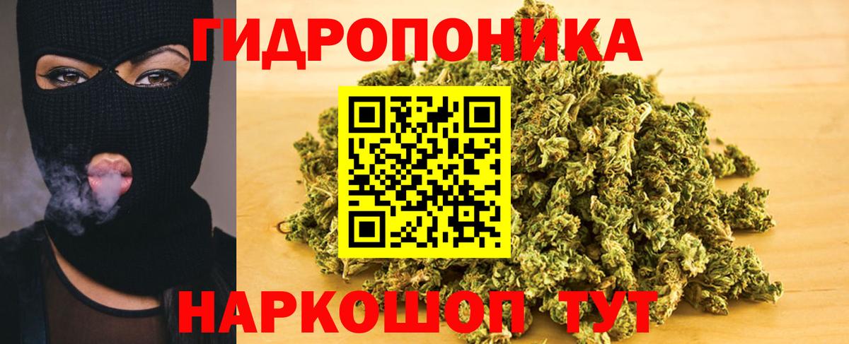 Бошки Шишки VHQ  Канабис план  Вход с VPN  Конопля LSD WEED  Карачаевск  Канабис MAZAR 